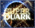............Quark  2012